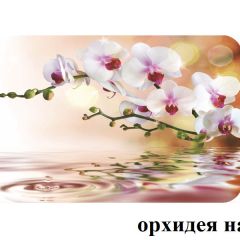 БОСТОН - 2 опоры Брифинг в Набережных Челнах - naberezhnye-chelny.mebel24.online | фото 4