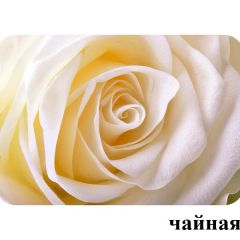 БОСТОН - 2 опоры Брифинг в Набережных Челнах - naberezhnye-chelny.mebel24.online | фото 13