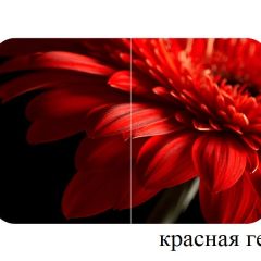 БОСТОН - 3 Стол раздвижной 1100/1420 опоры Триумф в Набережных Челнах - naberezhnye-chelny.mebel24.online | фото 18