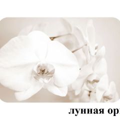БОСТОН - 3 Стол раздвижной Лунная орхидея 1100/1420 опоры Триумф в Набережных Челнах - naberezhnye-chelny.mebel24.online | фото 2