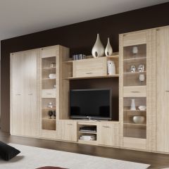 Гостиная Элана (модульная) в Набережных Челнах - naberezhnye-chelny.mebel24.online | фото 4
