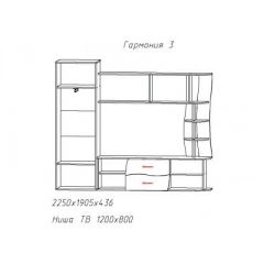 Гостиная ГАРМОНИЯ-3 (ЦРК.ГРМ.03) в Набережных Челнах - naberezhnye-chelny.mebel24.online | фото 2