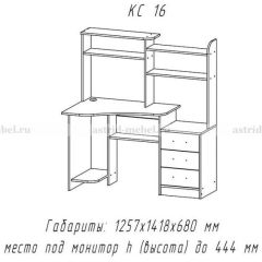 Компьютерный стол №16 (Анкор темныйанкор темный) в Набережных Челнах - naberezhnye-chelny.mebel24.online | фото