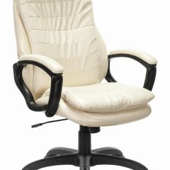 Кресло офисное BRABIX PREMIUM "Omega EX-589", экокожа, бежевое, 532095 в Набережных Челнах - naberezhnye-chelny.mebel24.online | фото