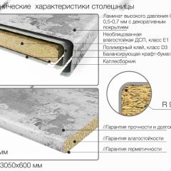 Кухонный фартук со столешницей (А-013) в едином стиле (3050 мм) в Набережных Челнах - naberezhnye-chelny.mebel24.online | фото 6