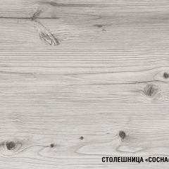Кухонный гарнитур Сиена стандарт 1600 мм в Набережных Челнах - naberezhnye-chelny.mebel24.online | фото 8