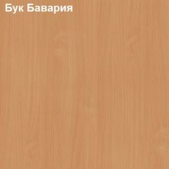 Надставка к столу компьютерному низкая Логика Л-5.1 в Набережных Челнах - naberezhnye-chelny.mebel24.online | фото 2