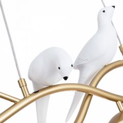 Подвесной светильник Arte Lamp Eltanin A3422SP-4GO в Набережных Челнах - naberezhnye-chelny.mebel24.online | фото 4