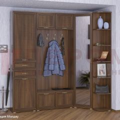 Прихожая Карина композиция 3 (Акация Молдау) в Набережных Челнах - naberezhnye-chelny.mebel24.online | фото