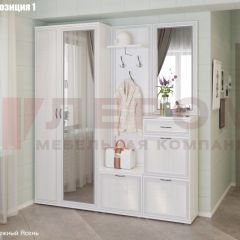 Прихожая Карина (модульная) в Набережных Челнах - naberezhnye-chelny.mebel24.online | фото 3