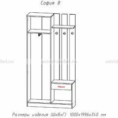 Прихожая София 8 в Набережных Челнах - naberezhnye-chelny.mebel24.online | фото 2