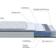 PROxSON Матрас Active Duo S/F (Ткань Трикотаж Эко) 120x190 в Набережных Челнах - naberezhnye-chelny.mebel24.online | фото 7