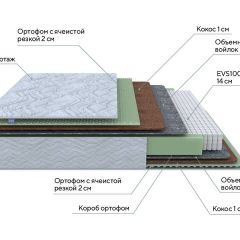 PROxSON Матрас Green M (Tricotage Dream) 90x200 в Набережных Челнах - naberezhnye-chelny.mebel24.online | фото 7