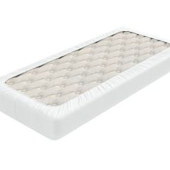 PROxSON Защитный чехол Aqua Save Light S (Ткань влагостойкая Tencel Jersey) 120x190 в Набережных Челнах - naberezhnye-chelny.mebel24.online | фото 2