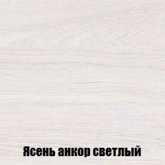 Шкаф 2-х створчатый МСП-1 (Ясень Анкор светлый) в Набережных Челнах - naberezhnye-chelny.mebel24.online | фото 4