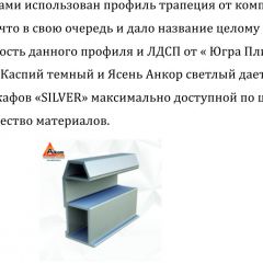 Шкаф-купе 1500 серии SILVER S3+S4+B2+PL4 (2 ящика+F обр.штанга) профиль «Серебро» в Набережных Челнах - naberezhnye-chelny.mebel24.online | фото 4