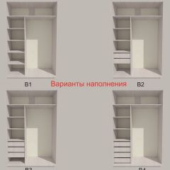 Шкаф-купе 1500 серии SILVER S3+S4+B2+PL4 (2 ящика+F обр.штанга) профиль «Серебро» в Набережных Челнах - naberezhnye-chelny.mebel24.online | фото 5