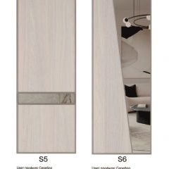 Шкаф-купе 1500 серии SILVER S3+S4+B2+PL4 (2 ящика+F обр.штанга) профиль «Серебро» в Набережных Челнах - naberezhnye-chelny.mebel24.online | фото 11
