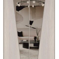Шкаф-купе 1500 серии SILVER S3+S4+B2+PL4 (2 ящика+F обр.штанга) профиль «Серебро» в Набережных Челнах - naberezhnye-chelny.mebel24.online | фото 12