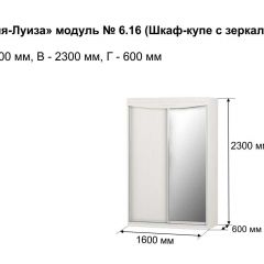 Шкаф-купе 1600 с зеркалом "Мария-Луиза 6.16" в Набережных Челнах - naberezhnye-chelny.mebel24.online | фото 4