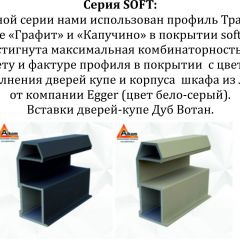 Шкаф-купе 1600 серии SOFT D6+D4+B2+PL2 (2 ящика+1штанга+1 полка) профиль «Капучино» в Набережных Челнах - naberezhnye-chelny.mebel24.online | фото 13