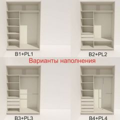 Шкаф-купе 1600 серии SOFT D6+D4+B2+PL2 (2 ящика+1штанга+1 полка) профиль «Капучино» в Набережных Челнах - naberezhnye-chelny.mebel24.online | фото 7