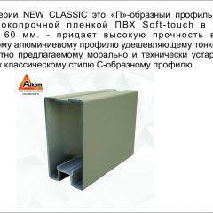 Шкаф-купе 1700 серии NEW CLASSIC K3+K3+B2+PL1 (2 ящика+1 штанга) профиль «Капучино» в Набережных Челнах - naberezhnye-chelny.mebel24.online | фото 17
