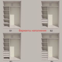 Шкаф-купе 1700 серии SILVER S1+S1+B2+PL2 (2 ящика+1 штанга+1 полка) профиль «Серебро» в Набережных Челнах - naberezhnye-chelny.mebel24.online | фото 5
