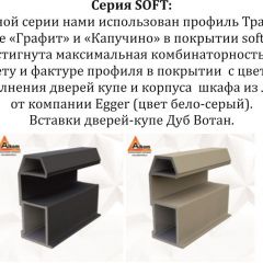 Шкаф-купе 2100 серии SOFT D5+D5+D5+B22+PL4 (по 2 ящика лев/прав+2штанги) профиль «Графит» в Набережных Челнах - naberezhnye-chelny.mebel24.online | фото 11