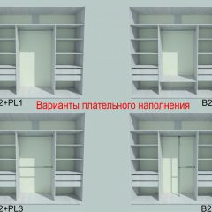 Шкаф-купе 2250 серии SILVER S3+S1+S3Z B22+PL2 (по 2 ящика лев/прав+1штанга+1 полка) профиль «Серебро» в Набережных Челнах - naberezhnye-chelny.mebel24.online | фото 6