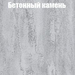Шкаф-купе Бассо 1.0 (Дуб Крафт серый/Бетонный камень) 2 двери ЛДСП 1 зеркальная вставка в Набережных Челнах - naberezhnye-chelny.mebel24.online | фото 3