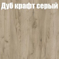 Шкаф-купе Бассо 1.0 (Дуб Крафт серый/Бетонный камень) 2 двери ЛДСП 1 зеркальная вставка в Набережных Челнах - naberezhnye-chelny.mebel24.online | фото 4