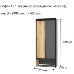 ОЛЬГА-ЛОФТ 10.1 Шкаф-купе без зеркала в Набережных Челнах - naberezhnye-chelny.mebel24.online | фото 3