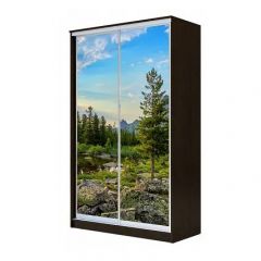 Шкаф-купе ХИТ 24-4-14-77 (420) в Набережных Челнах - naberezhnye-chelny.mebel24.online | фото 1