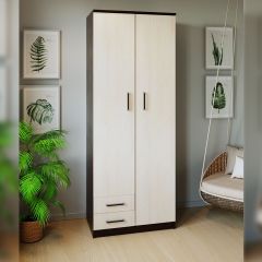 Шкаф распашной ПШ-3.9 в Набережных Челнах - naberezhnye-chelny.mebel24.online | фото 3