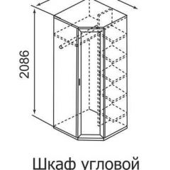 Шкаф угловой для одежды Ника-Люкс 30 с зеркалами в Набережных Челнах - naberezhnye-chelny.mebel24.online | фото 3