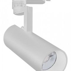 Светильник на штанге Escada 20029 20029TRA/01LED SWH в Набережных Челнах - naberezhnye-chelny.mebel24.online | фото