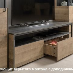 Трувор гостиная (модульная) в Набережных Челнах - naberezhnye-chelny.mebel24.online | фото 19