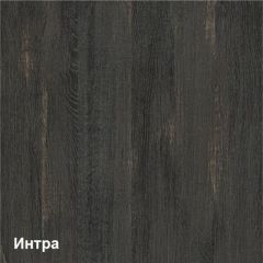 Трувор Шкаф 13.204.01 в Набережных Челнах - naberezhnye-chelny.mebel24.online | фото 3
