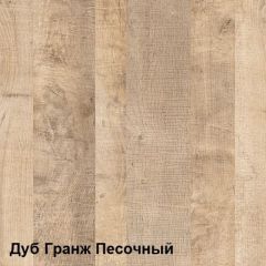 Трувор Шкаф 13.204.01 в Набережных Челнах - naberezhnye-chelny.mebel24.online | фото 4
