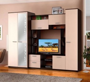 АЛЕКСАНДРА 10 Стенка в Набережных Челнах - naberezhnye-chelny.mebel24.online | фото 2