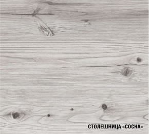 АСАЯ Кухонный гарнитур Макси 2 (1800 мм) ПМ в Набережных Челнах - naberezhnye-chelny.mebel24.online | фото 8
