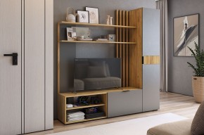 БЕРИ К1 Гостиная в Набережных Челнах - naberezhnye-chelny.mebel24.online | фото 2