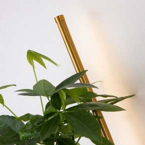 Бра Favourite Greenery 4050-1W в Набережных Челнах - naberezhnye-chelny.mebel24.online | фото 10