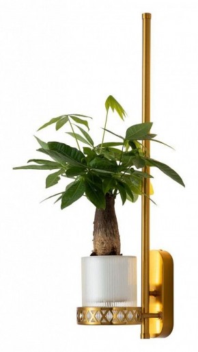 Бра Favourite Greenery 4050-1W в Набережных Челнах - naberezhnye-chelny.mebel24.online | фото 3