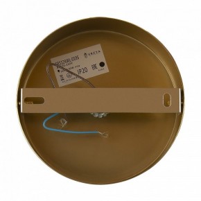 Бра Freya Zelda FR5124WL-01BS в Набережных Челнах - naberezhnye-chelny.mebel24.online | фото 6