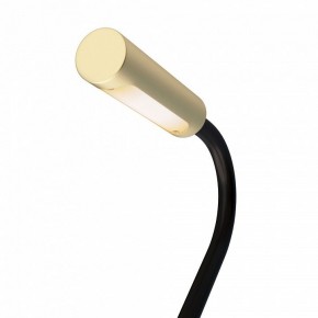 Бра Maytoni Stem C035WL-L3MG3K в Набережных Челнах - naberezhnye-chelny.mebel24.online | фото 6