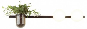 Бра Odeon Light Flower 4681/2W в Набережных Челнах - naberezhnye-chelny.mebel24.online | фото 3