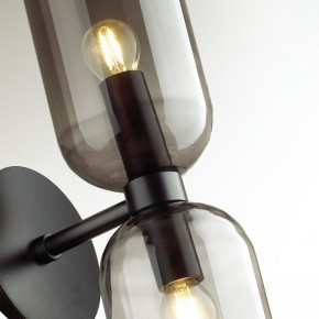 Бра Odeon Light Orinoco 4804/2W в Набережных Челнах - naberezhnye-chelny.mebel24.online | фото 4