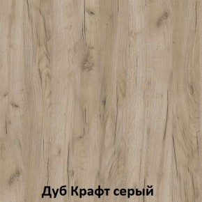 ДАРЬЯ Гостиная (Крафт серый/Крафт белый) модульная в Набережных Челнах - naberezhnye-chelny.mebel24.online | фото 2